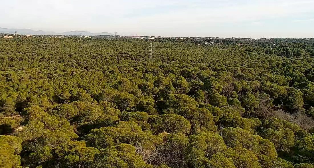 vallesapaterna-defensa-incendios-forestales-prevencion-matooma-senticnel-1