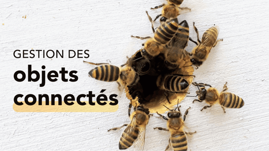gestion-objets-connectes