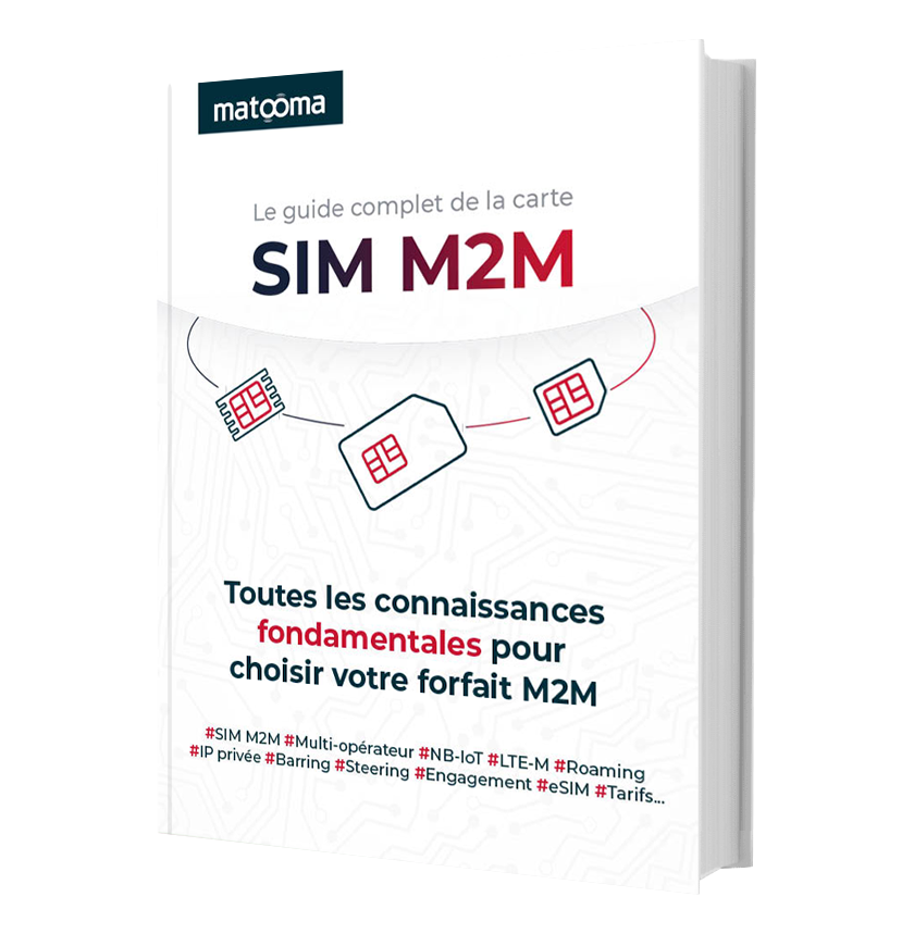 Carte SIM prépayée M2M - 5 GB - validité 1 an