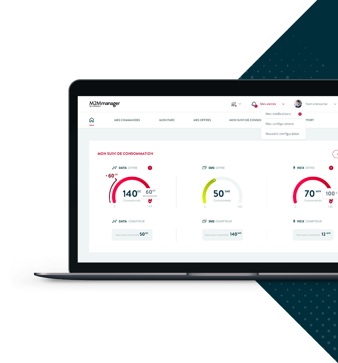 M2MManager-plateforme-matooma