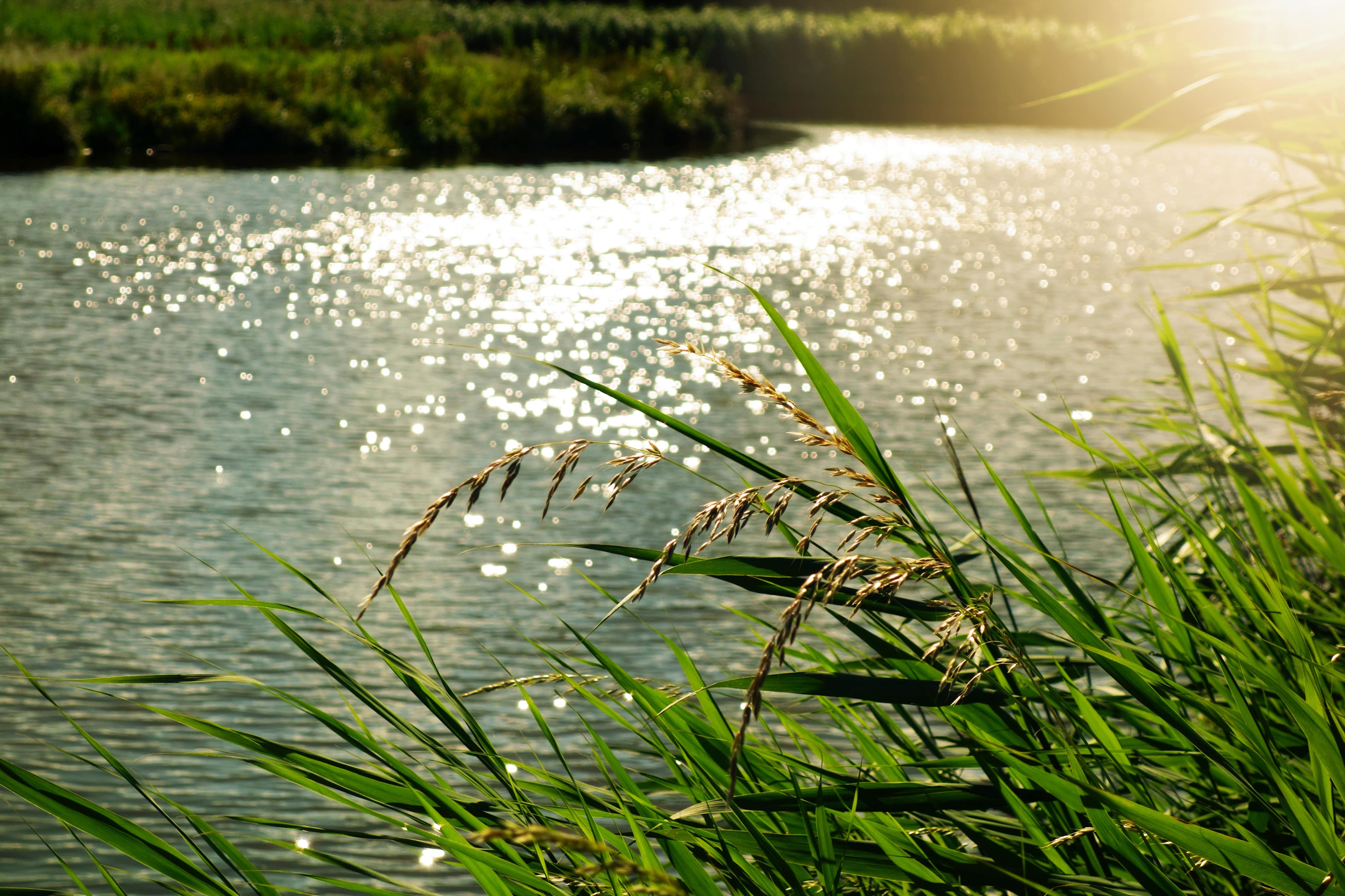 Cas_d_usage_GESTION_RESSOURCES_NATURELLES-min
