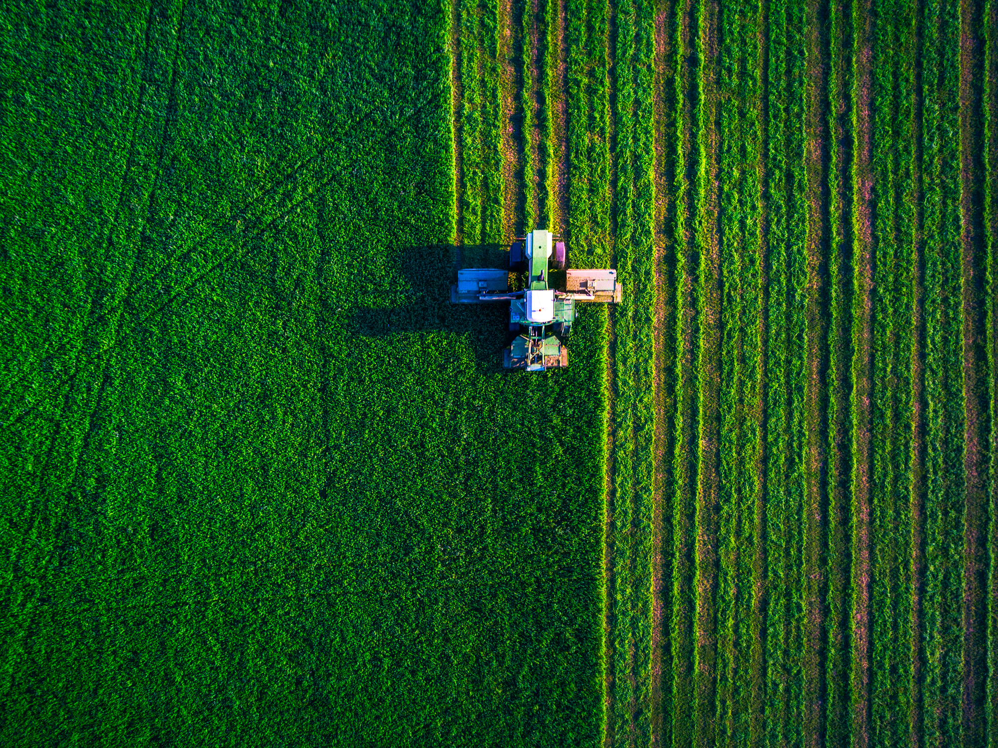 etude-cas-agriculture-connectivité